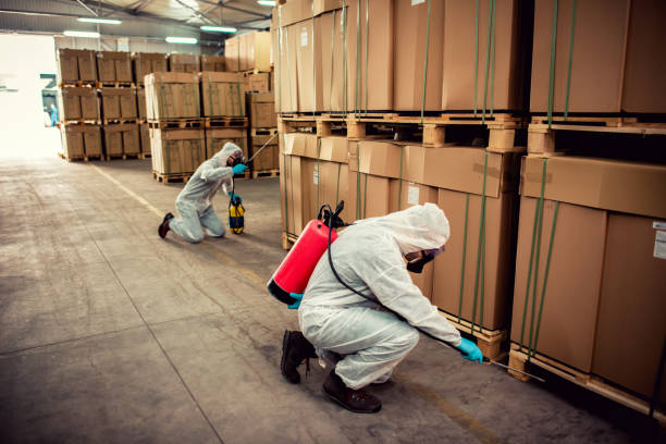 Best Termite Control Services  in Hartsdale, NY