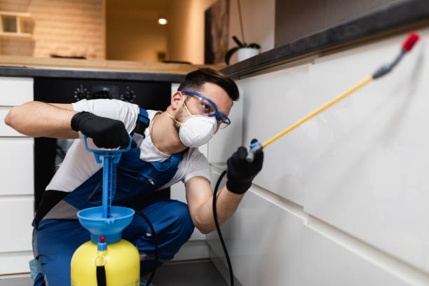 Best Pest Control Near Me in Hartsdale, NY