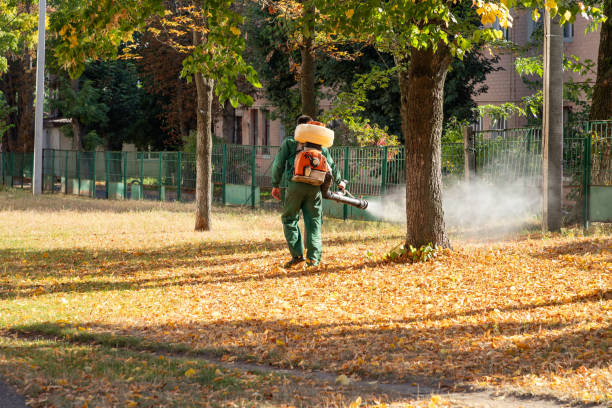 Pest Prevention Services in Hartsdale, NY